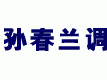 孙春兰调研藏区：望藏传佛教界成为维稳重要力量