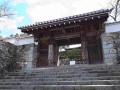 日本多处世界文化遗产遭破坏 国宝级寺院门上被刻字