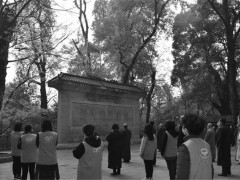 湖南佛教界在全国哀悼日为牺牲的烈士和逝世的同胞表达深切的哀思