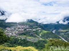 “莲花秘境”墨脱，茶叶飘香中首迎十一世班禅